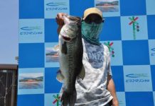 tweet釣果：ドライブシャッドで55cm!! (琵琶湖) 