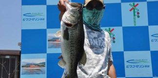 tweet釣果：ドライブシャッドで55cm!! (琵琶湖) 