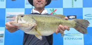 tweet釣果：クランクベイトで55cm!! (琵琶湖) 