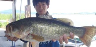 tweet釣果：ドライブクローで50アップ!! (西の湖 伊庭内湖) 