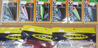 サカマタシャッド６インチ入荷!! (つり具のブンブン・大津店) 