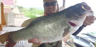 tweet釣果：バイ〜ンリグで50cm!! (琵琶湖) 1