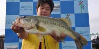 tweet釣果：ドライブスティックで55cm!! (琵琶湖) 1