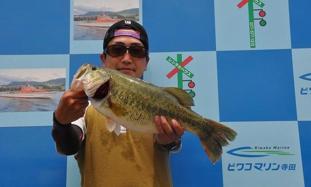 tweet釣果：モンスターミキで51cm!! (琵琶湖) 2