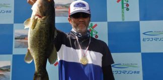 tweet釣果：フリックシェイクで51cm!! (琵琶湖) 