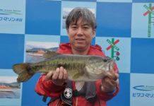 tweet釣果：バイ〜ンリグで50cm!! (琵琶湖) 2