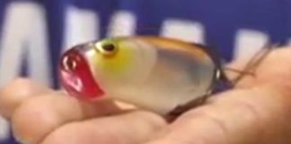 SPRO社から新フロッグ!! (ICAST 2016) 3