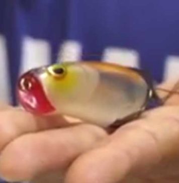 SPRO社から新フロッグ!! (ICAST 2016) 3