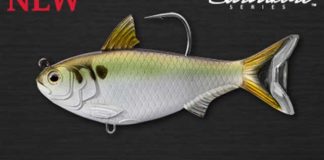 ライブターゲット社からスレッドフィンシャッド!! (ICAST 2016) 1