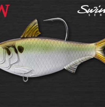 ライブターゲット社からスレッドフィンシャッド!! (ICAST 2016) ライブターゲット社からスレッドフィンシャッド!! (ICAST 2016) 1