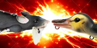 獣モノ系ルアー "ネズミ VS  アヒル"  (ICAST 2016) 8