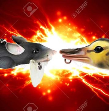 獣モノ系ルアー “ネズミ VS アヒル” (ICAST 2016) 獣モノ系ルアー "ネズミ VS アヒル" (ICAST 2016) 8