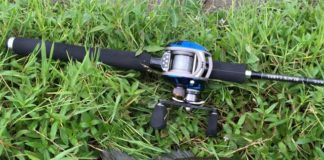 tweet釣果：バイ〜ンリグで50cm!! (琵琶湖) 4