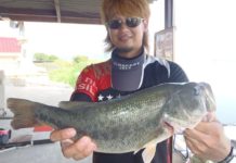 tweet釣果：ドライブスティックで55cm!! (琵琶湖) 3