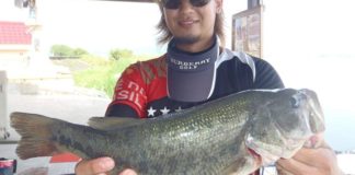 tweet釣果：ドライブスティックで55cm!! (琵琶湖) 3