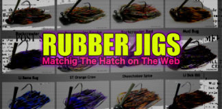 続 ベイトフィッシュの観察 ~マッチ ・ザ・ハッチ編~ 10