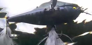 レイドジャパン ダッジ の水中映像