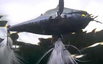 レイドジャパン “ダッジ” の水中映像 (難波孝広) レイドジャパン ダッジ の水中映像