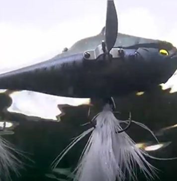 レイドジャパン ダッジ の水中映像