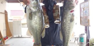 tweet釣果：スピナーベイトで46x44cm!! (西の湖 伊庭内湖) 