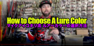 ルアーカラーの選択方法!! (マイクアイコネリ) 1