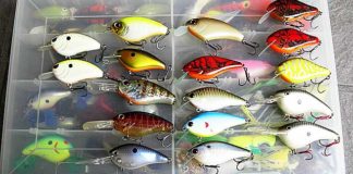 瀬田川へ (2016年 9月17日) 1