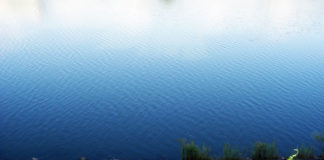 瀬田川へ (2016年 8月31日) 1