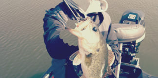 琵琶湖バスフィッシングガイドリポート ~田中様~ 43cm 23