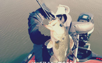 琵琶湖バスフィッシングガイドリポート ~田中様~ 43cm 23