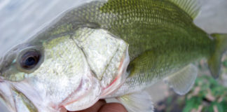 琵琶湖へ (10月4日) ポッパーでペコン。 10