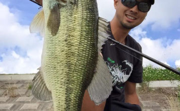 テナガエビパターン紹介!! (馬場拓也) テナガエビパターン紹介!! (馬場拓也) 2