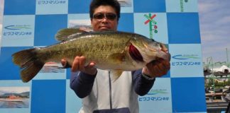 tweet釣果：ボカン!! ビロビローンで60cm!! (琵琶湖) 