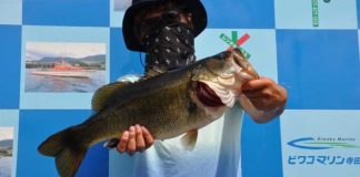 tweet釣果：パンチショットで53cm!! (琵琶湖) 