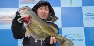 tweet釣果：8XDで55cm!! イェイ〜 (琵琶湖) 