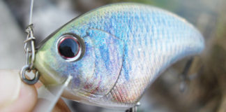 瀬田川へ (2016年 9月27日) 瀬田川ジグハーフ 12