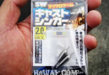 瀬田川へ (10月31日) SWキャストシンカー 3