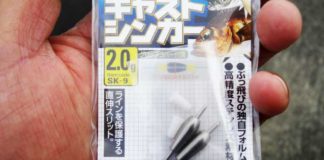 瀬田川へ (10月31日) SWキャストシンカー 3