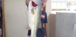 tweet釣果：ドカ〜ン!! ネコリグで 56x55x56cm!! (琵琶湖) 1