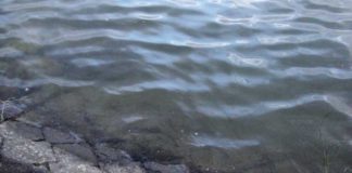 瀬田川へ (10月12日) 夕方は寒い 4