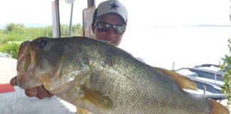 tweet釣果：チャターベイトで48cm!! (西の湖 伊庭内湖) 