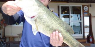 tweet釣果：カットテールで46cm!! (西の湖 伊庭内湖) 