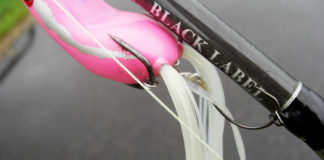 琵琶湖へ (9月28日) フロッグ再挑戦失敗 9