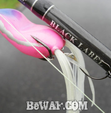 琵琶湖へ (9月28日) フロッグ再挑戦失敗 9