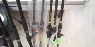 瀬田川へ (2016年 1月15日) 30