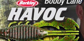 新フリッピング用ワーム "Craw Fatty Jr" (Berkley) 3