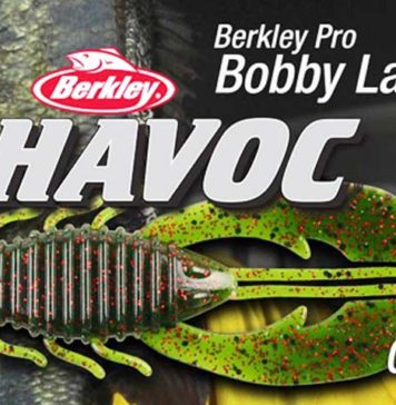 新フリッピング用ワーム "Craw Fatty Jr" (Berkley) 3