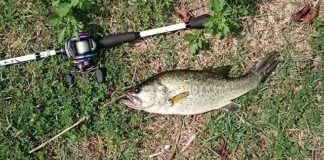 瀬田川釣果 38cm!! (bv六文銭) 2016年 