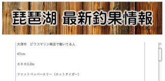 ファットペッパー3で47cm!!(琵琶湖) 