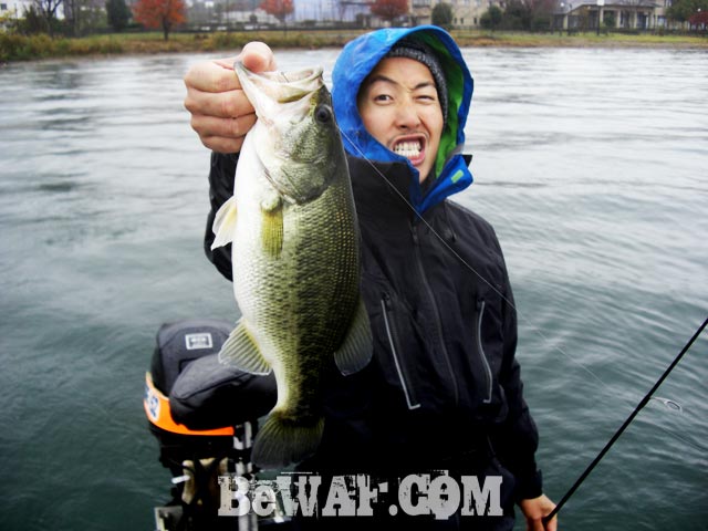 biwako-bass-fishing-guide-aki-boat-point-10