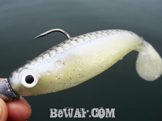 biwako-bass-fishing-guide-aki-boat-point-12